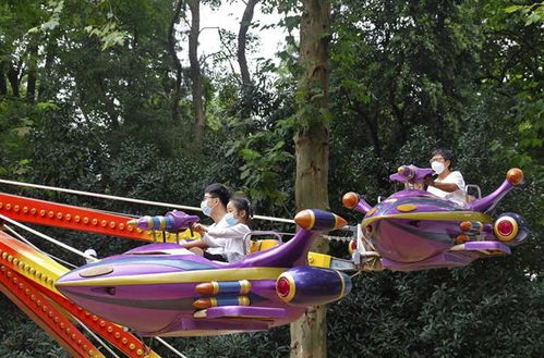 武漢全域降為低風(fēng)險地區(qū)，中山公園游樂場恢復(fù)開放，軟件開發(fā)行業(yè)迎來新機遇